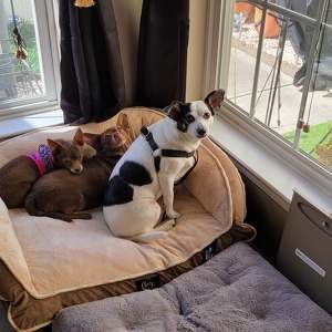 Fundraising Page: Carla Pavez